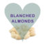 Scoops Blanched Almonds