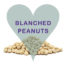 Scoops Blanched Peanuts