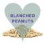 Scoops Blanched Peanuts
