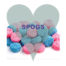 Spogs pick and mix