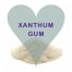 Xanthan Gum